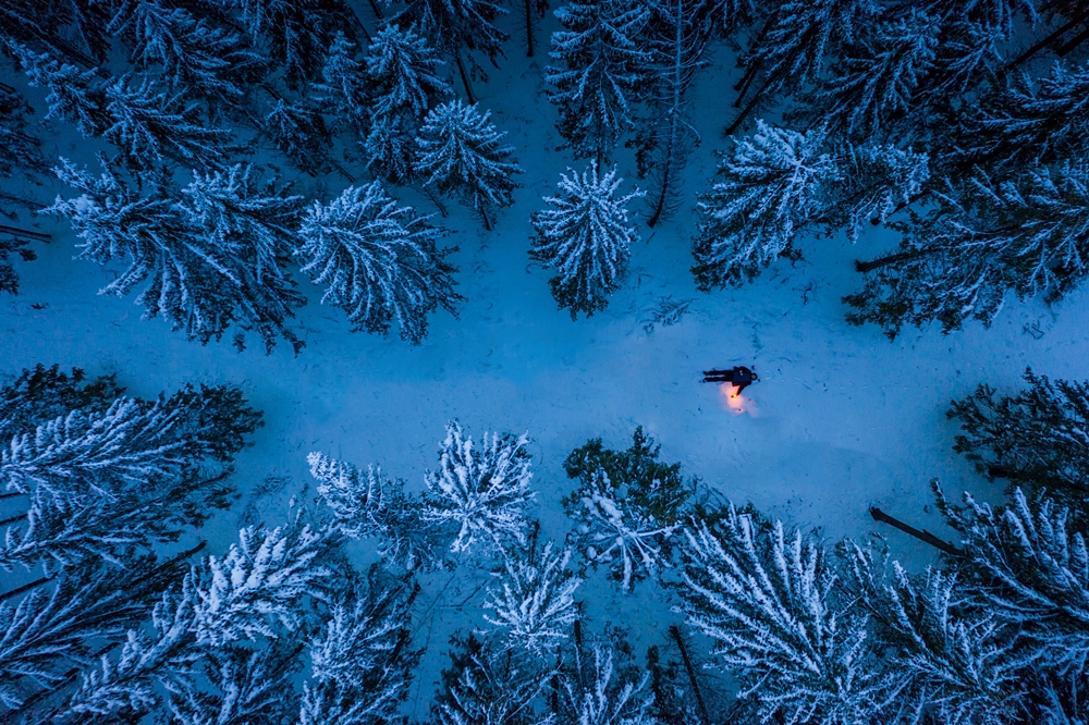 Alone in the dark winter forest