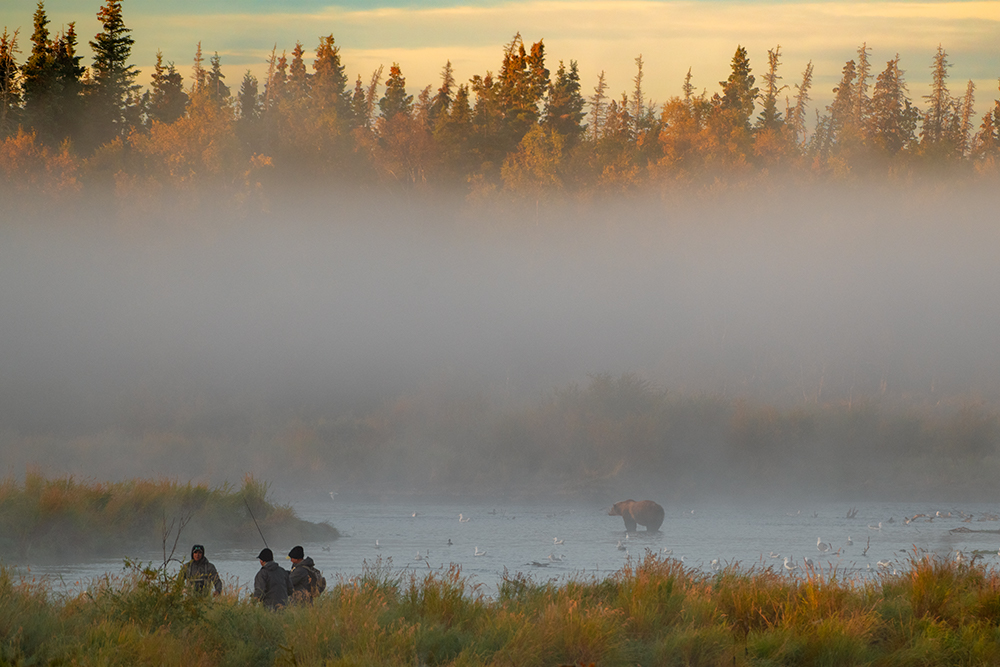 Foggy Fall Sunrise