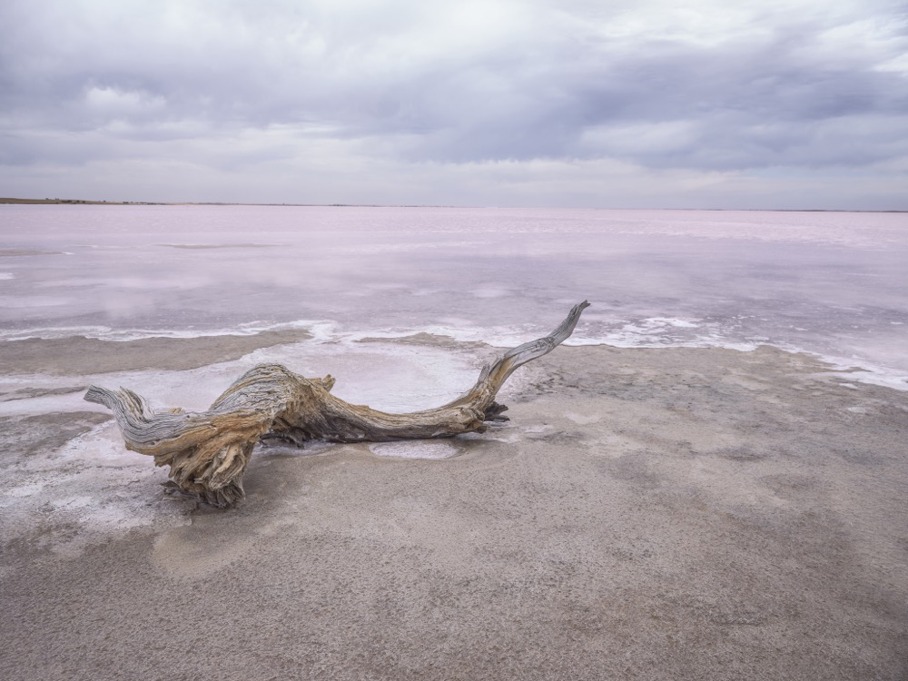 Salt Scape: Crossroads of Climate Change