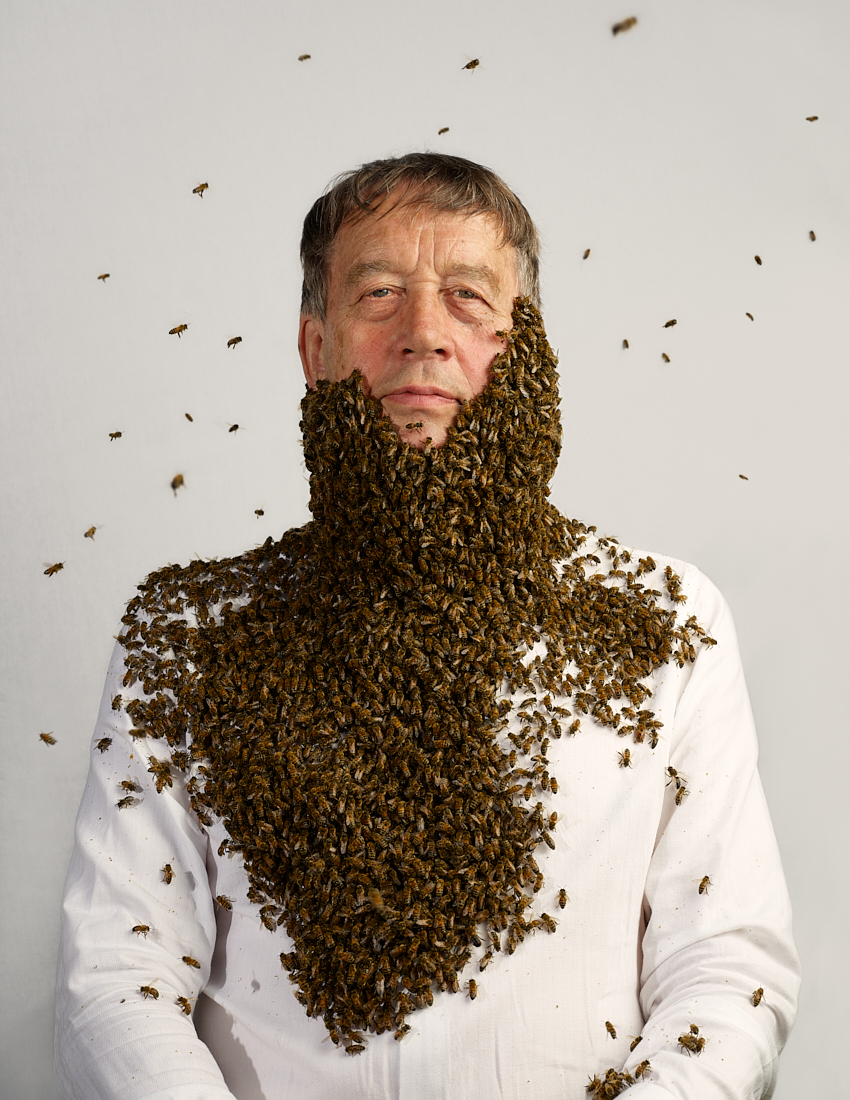 The Consultant at the Danish Beekeepers Association