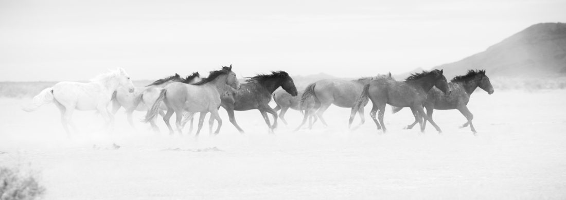 Dancing with the Wind