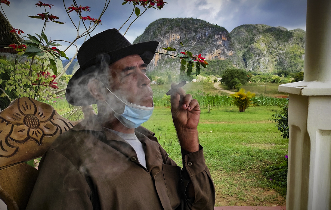  Land, sun and Cubanity: where the best tobacco in the world is born.