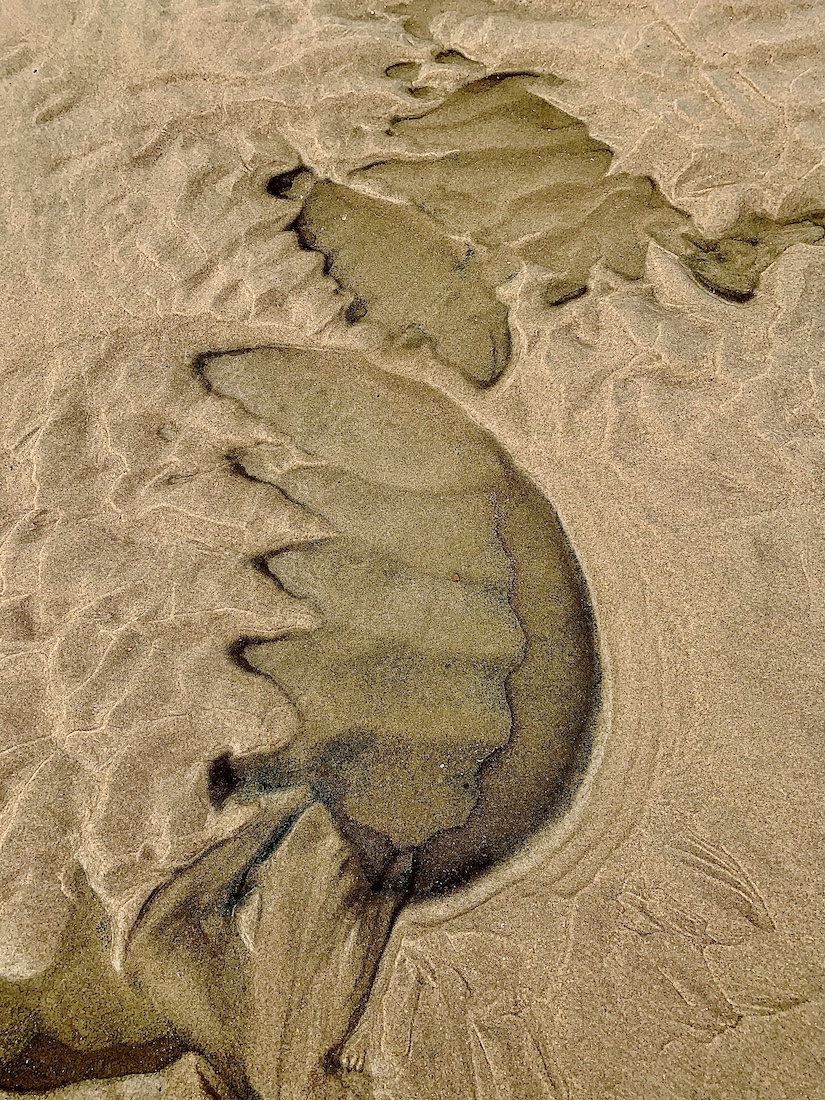 Chimères de sable