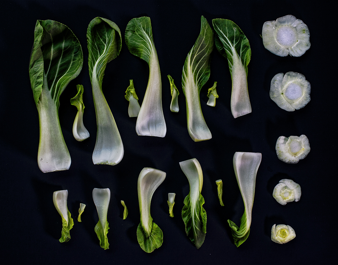 Bok Choi Dissected