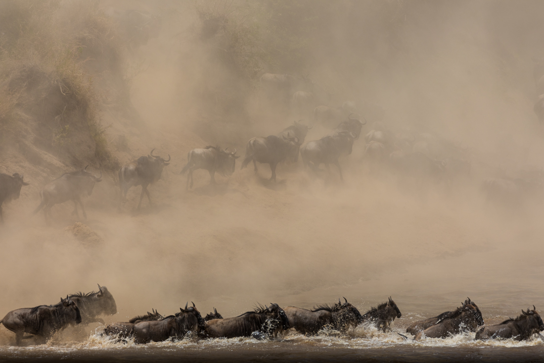 GREAT MIGRATION