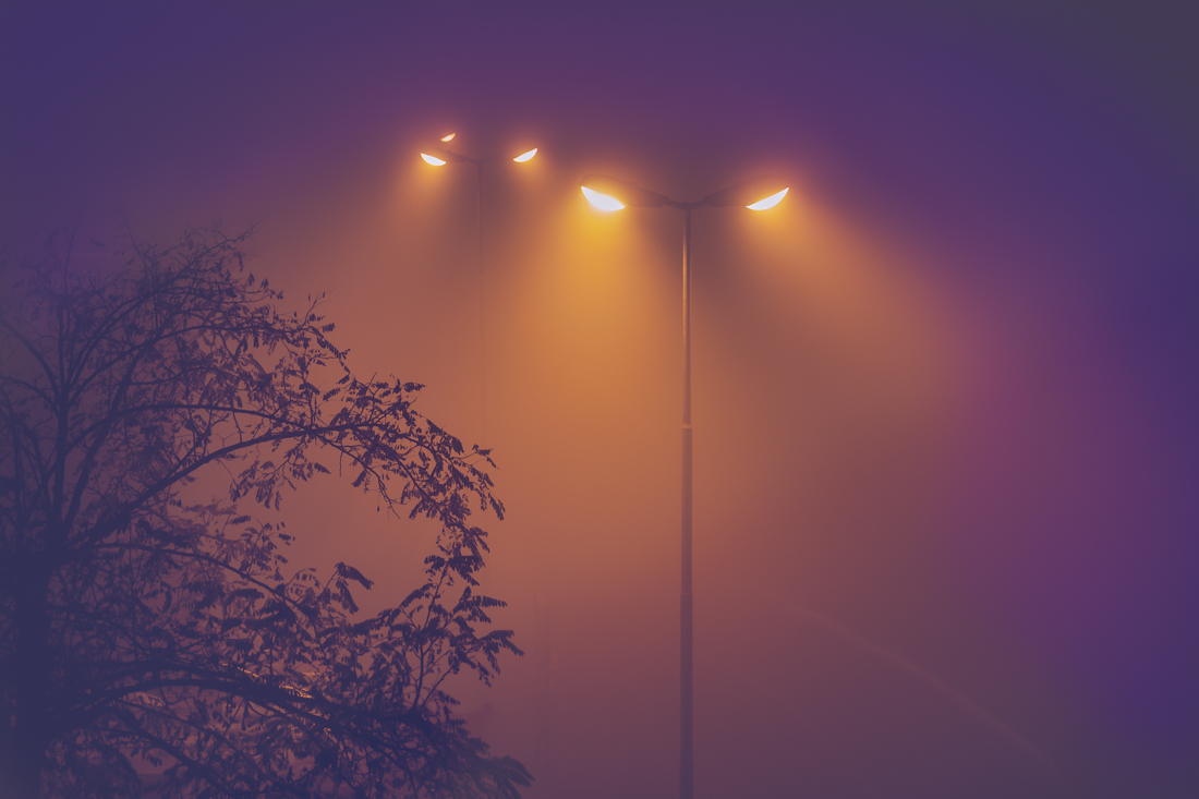 Alien street lamps in the fog