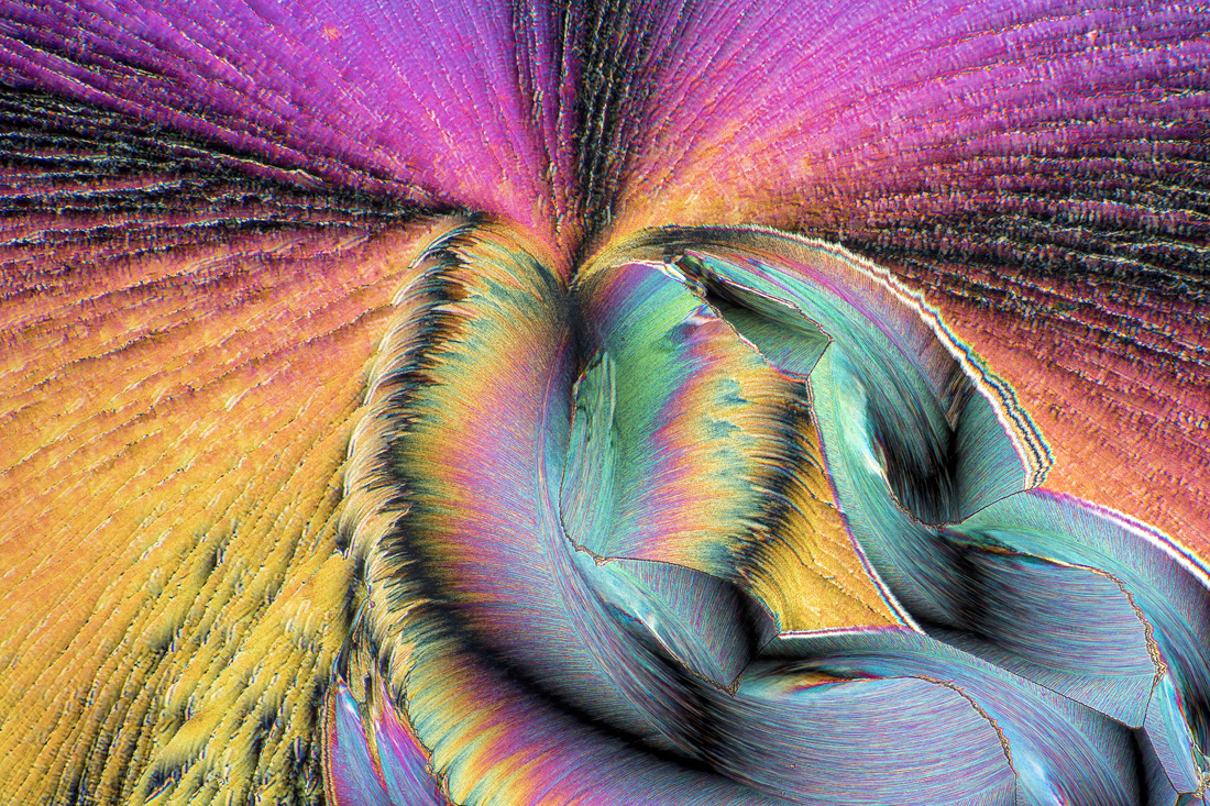 A mixture of urea and paracetamol, insights into the hidden world of microcrystals in polarized light. (Series) 