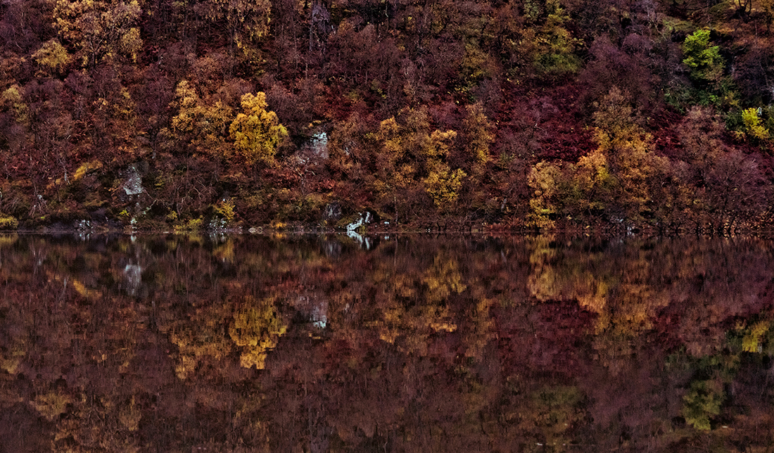 Autumnal Reflections