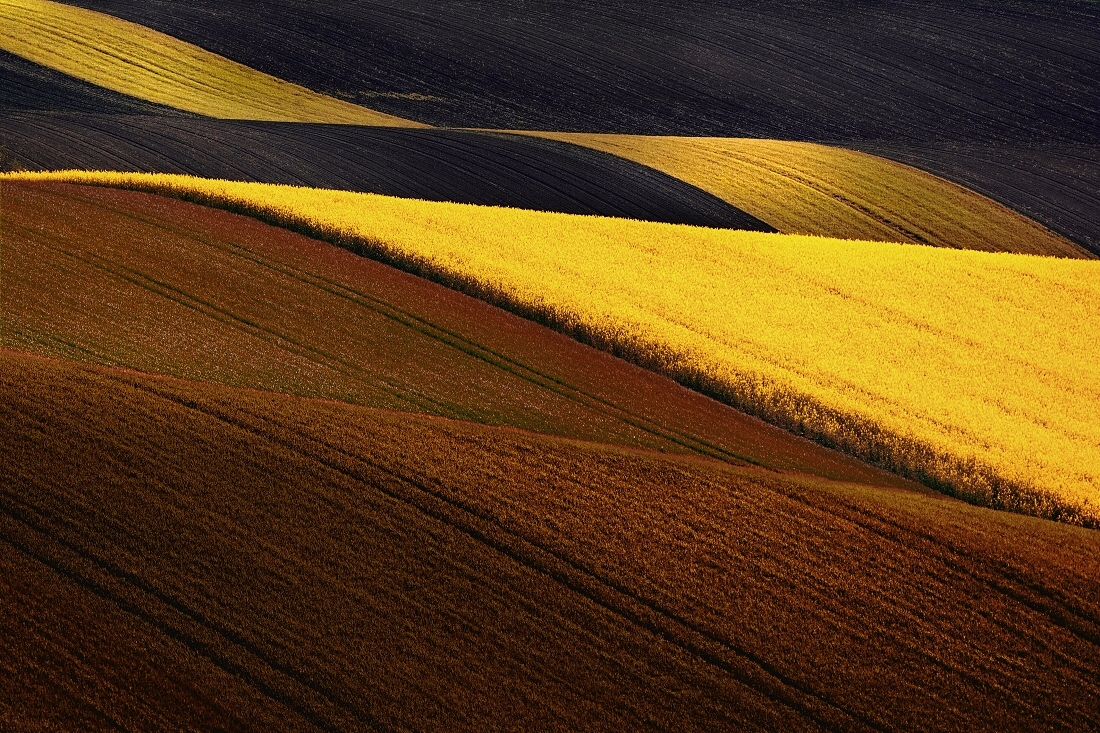 Four seasons in the waves of South Moravia