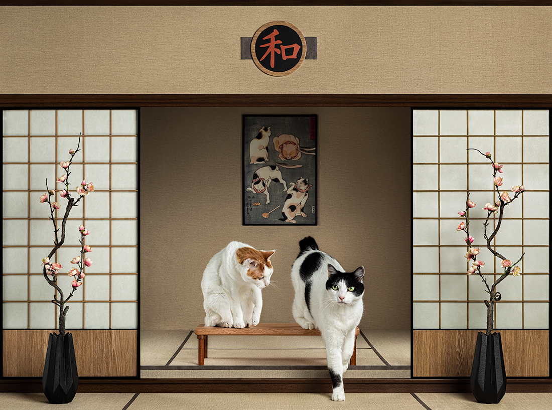 Japanese interior with two cats