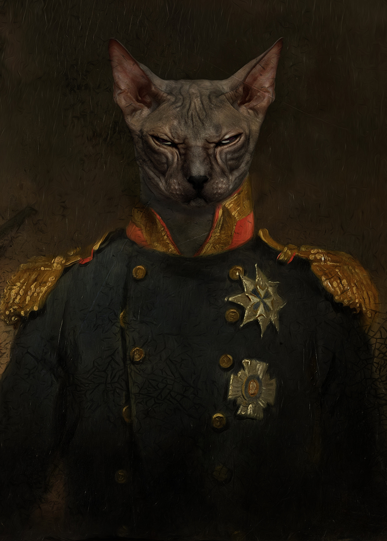 Royal cats