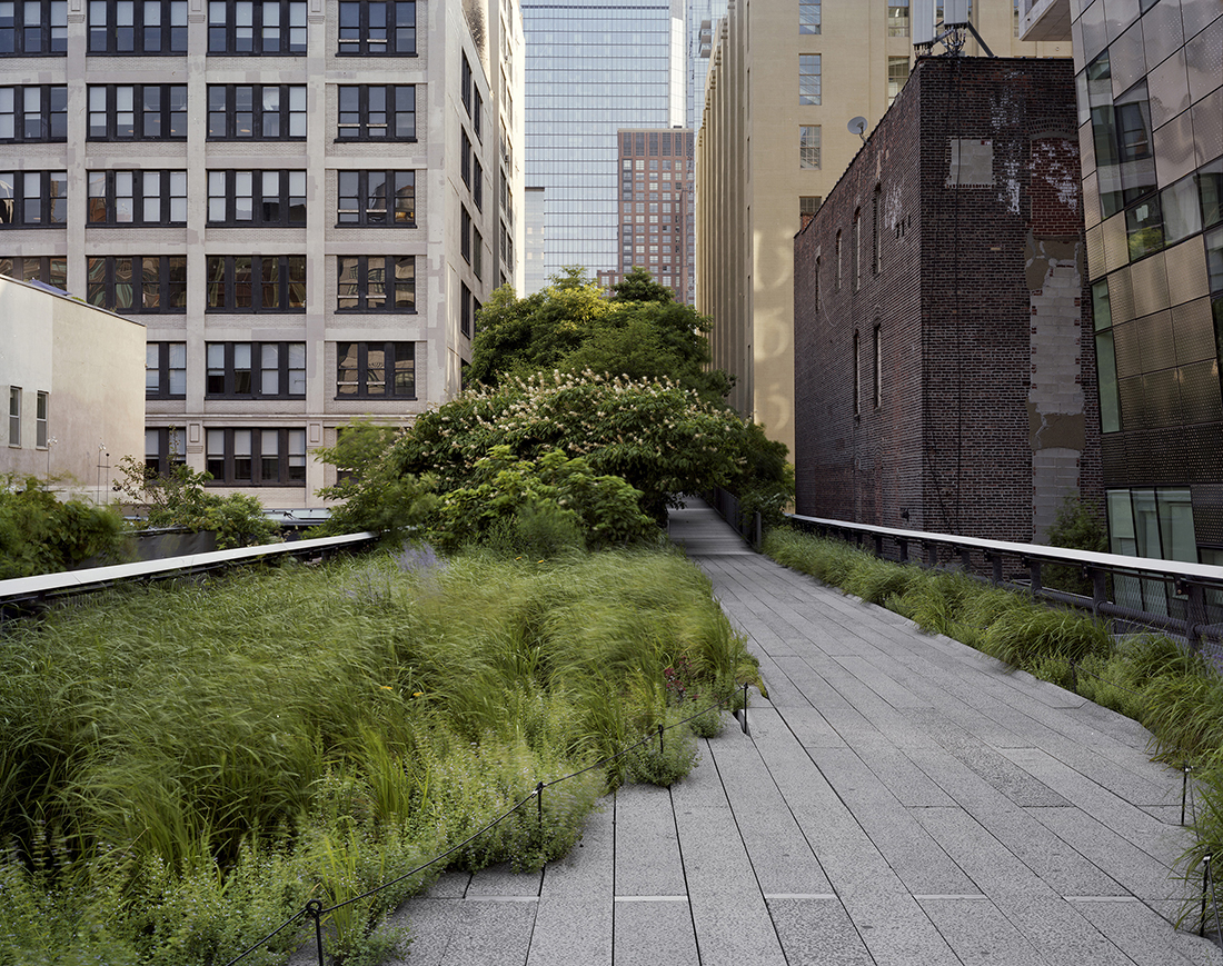 Walking the High Line