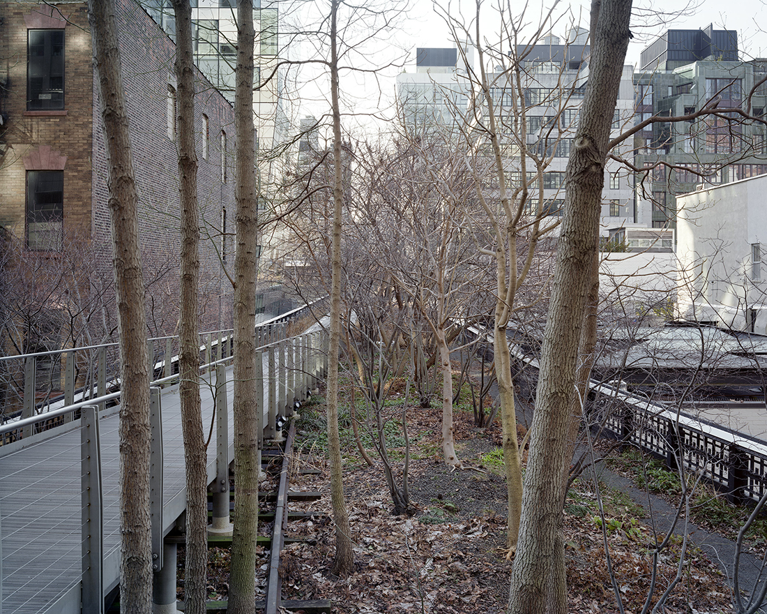 Walking the High Line