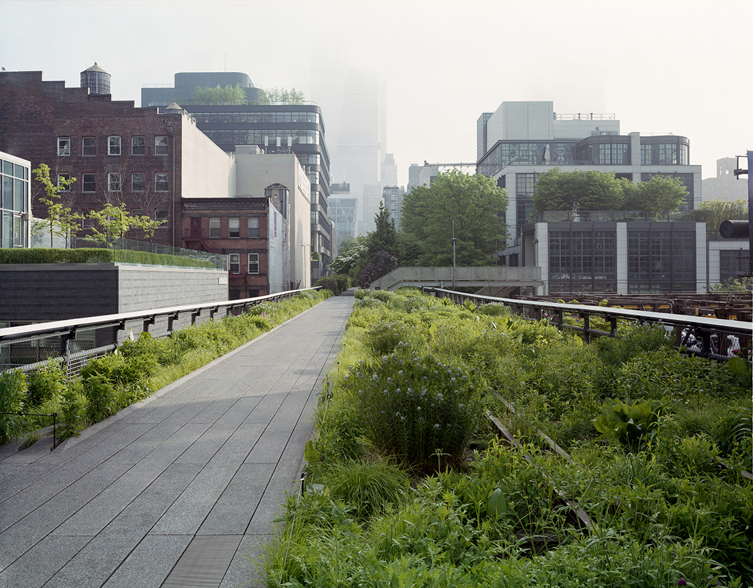 Walking the High Line