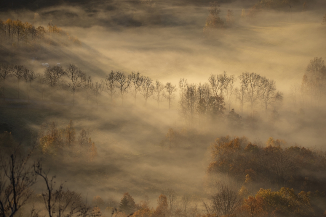 Misty autumn