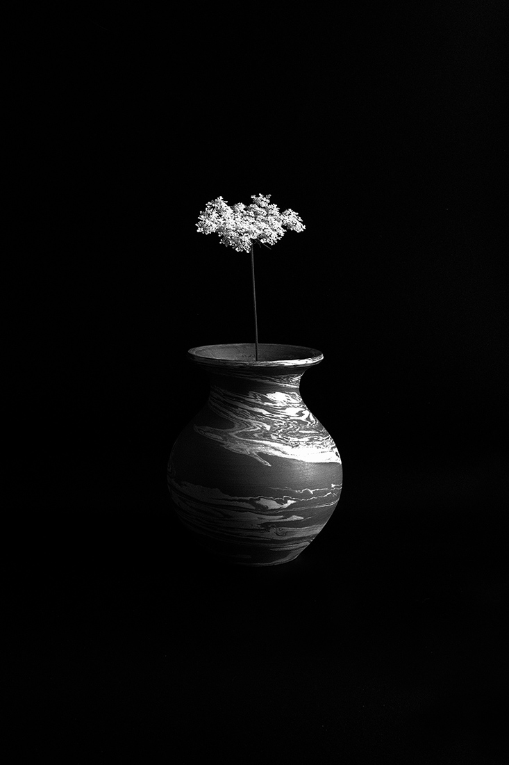 The world in a vase