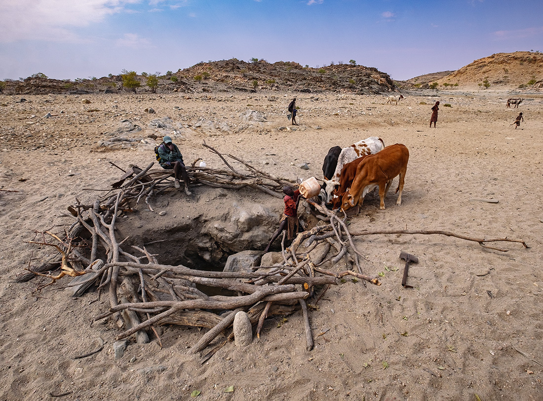 Himba and their Cattle