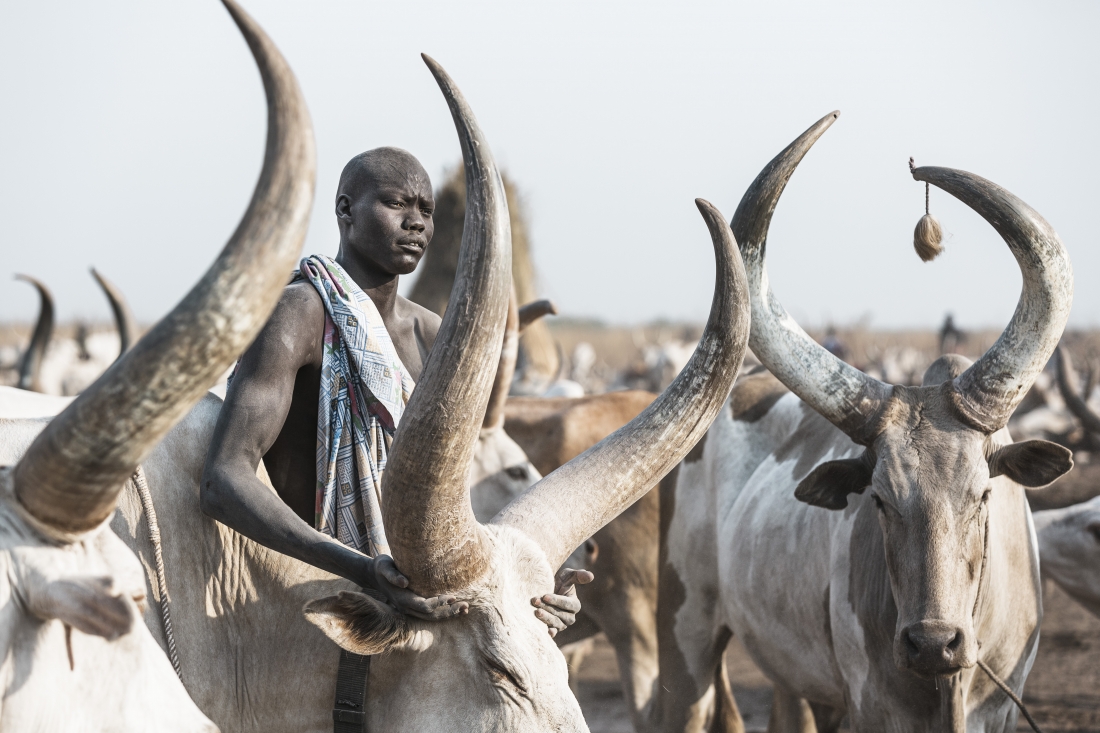 Cattle herders of South Sudan