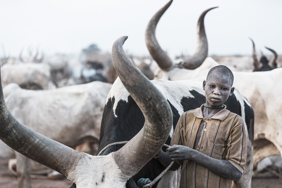 Cattle herders of South Sudan