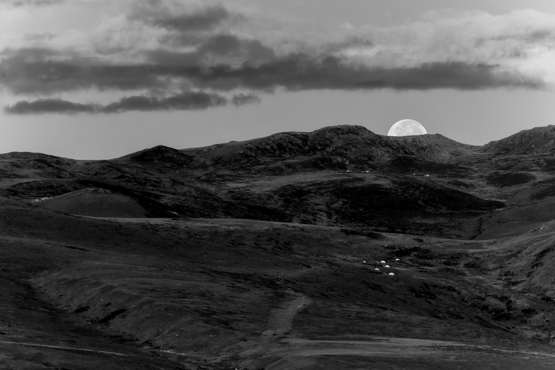 Living on the Tibetan great plain