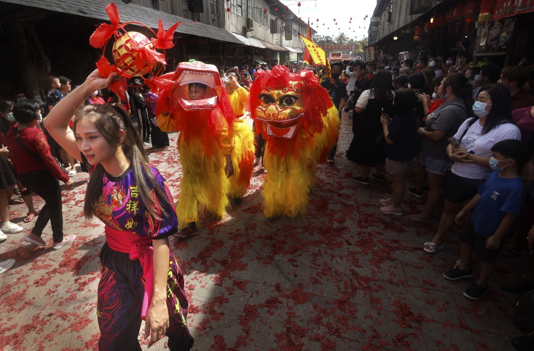 Many faces of the dragons and lions