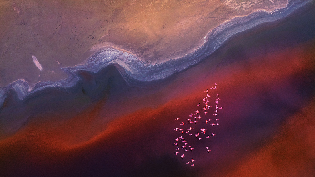 Flying Over Lake Magadi