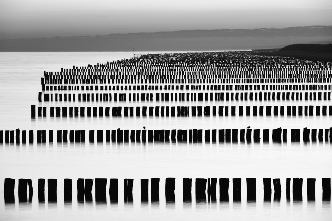 Baltic Sea Shore