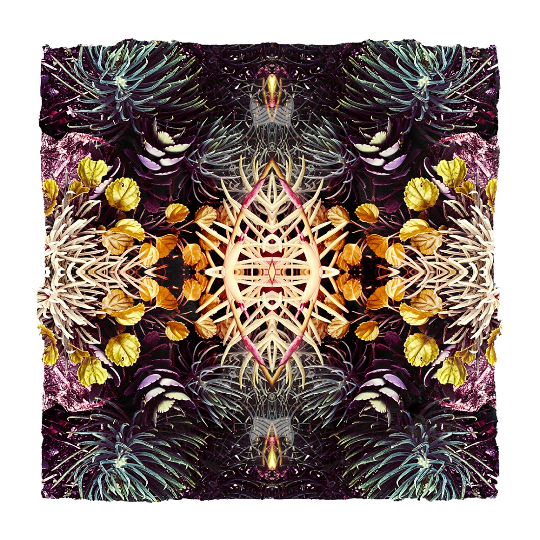 Kaleidoscope Garden