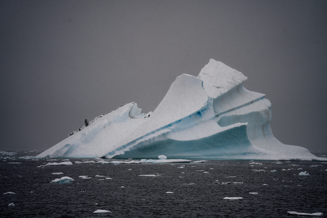 antarctic icebergs