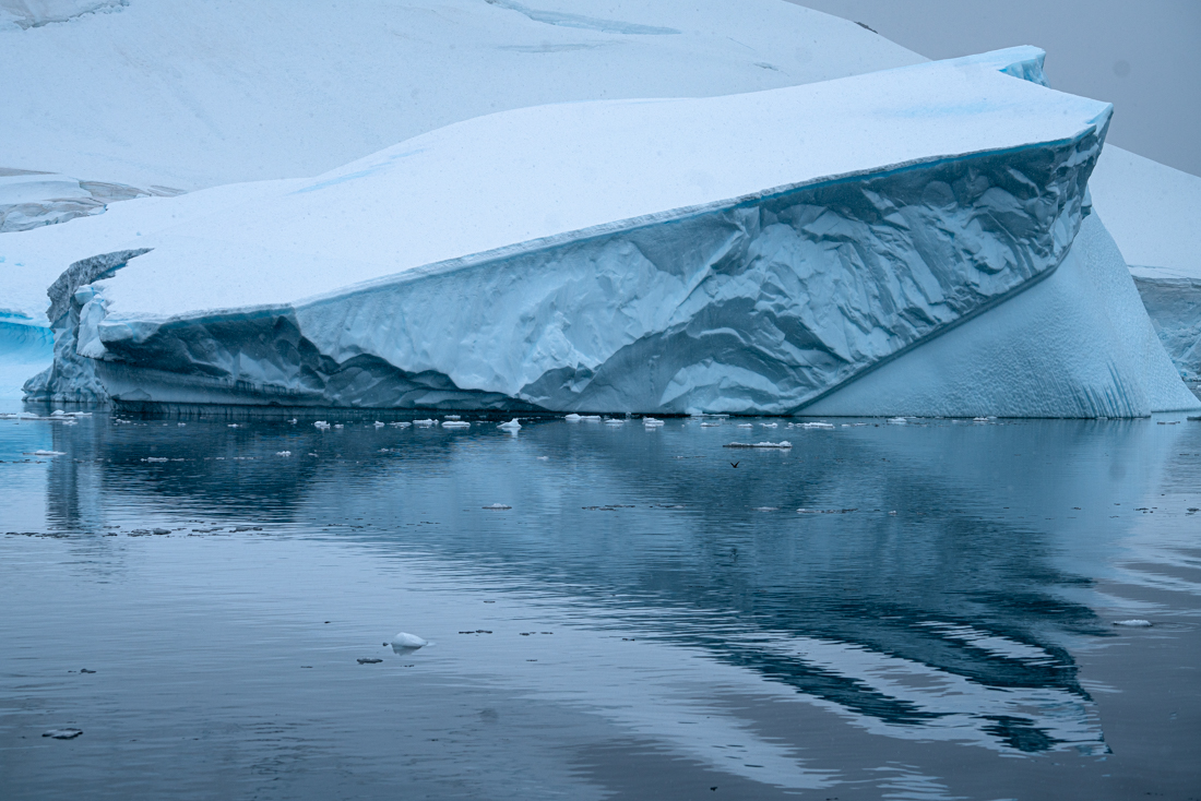 antarctic icebergs