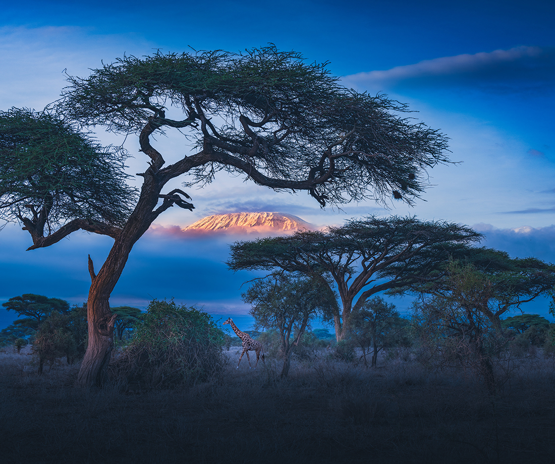 Scenery of African grasslands