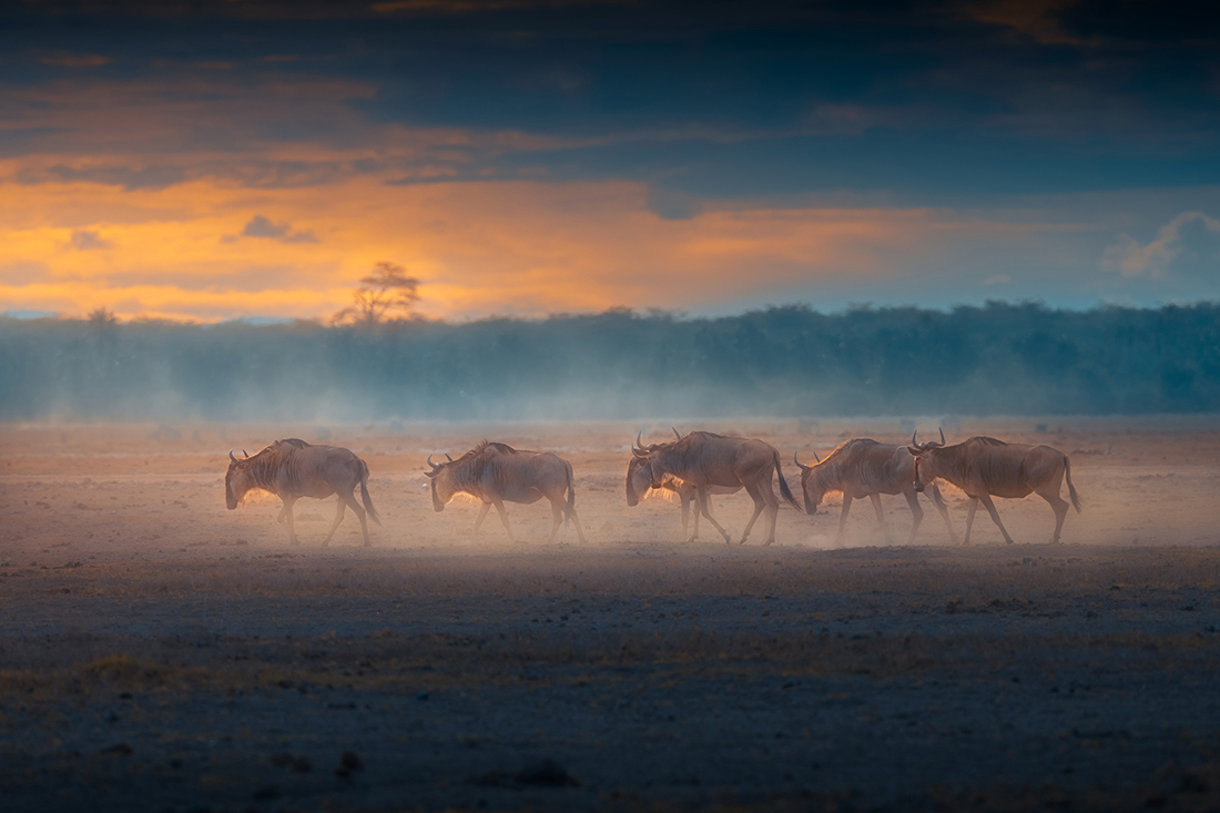 Scenery of African grasslands