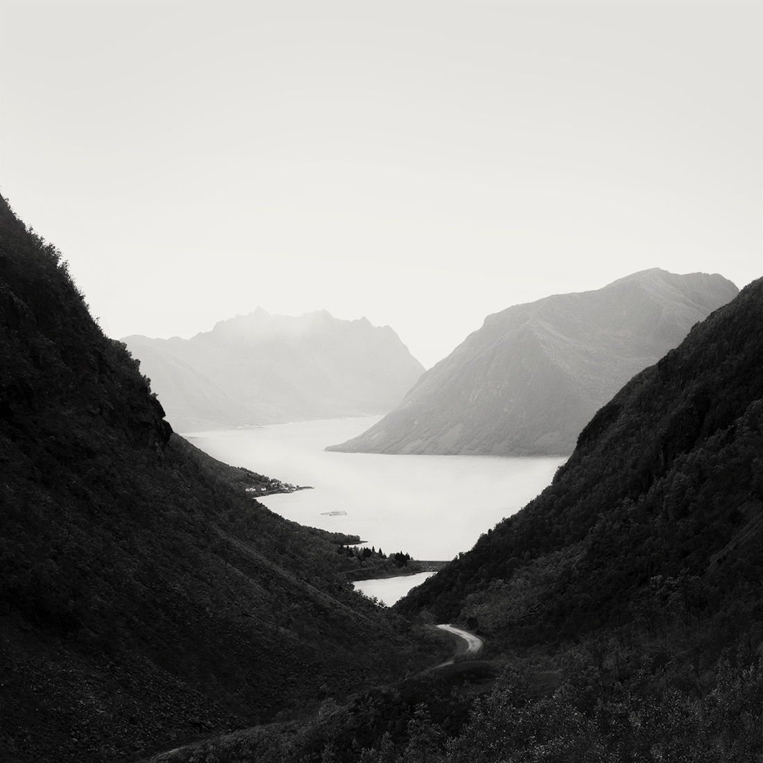 Curves of Fjords