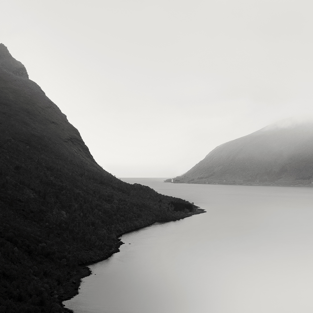 Curves of Fjords