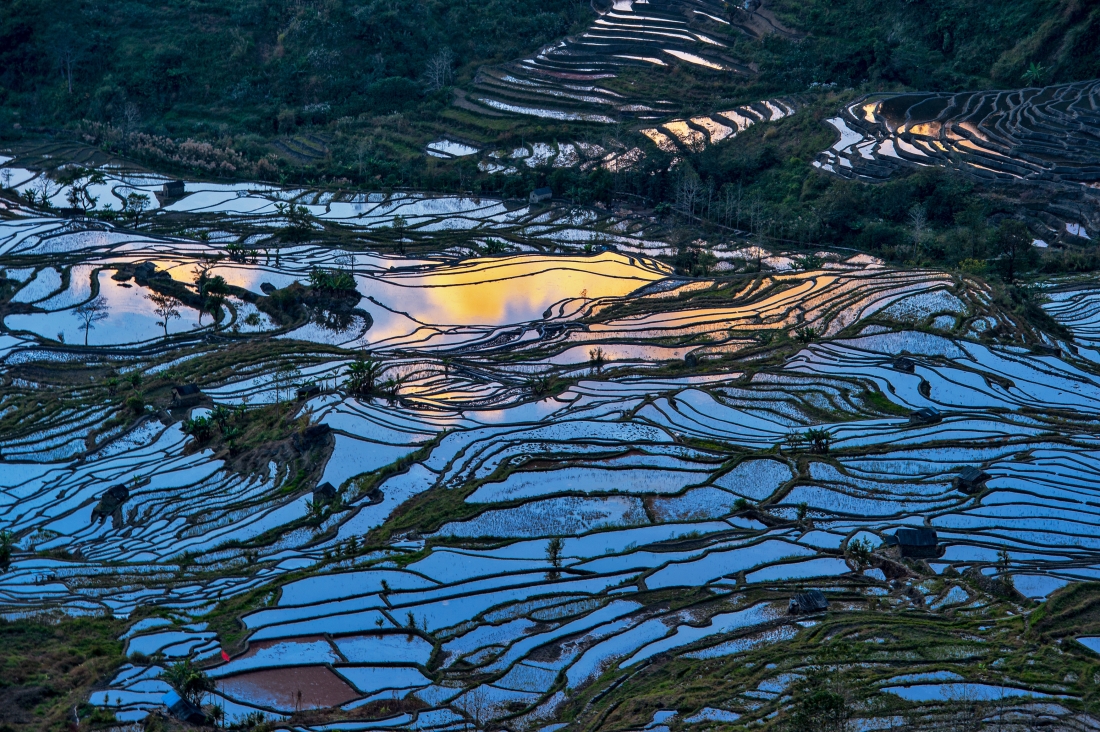 Dreamy Duoyishu Terraced Fields