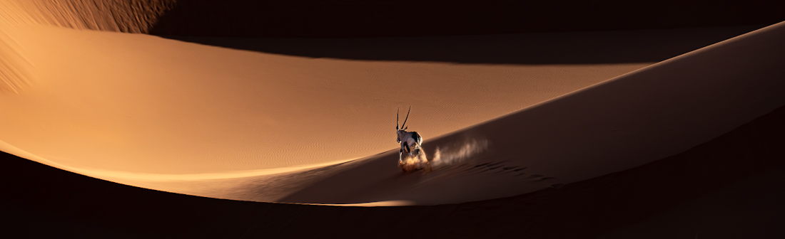 Desert Ballet