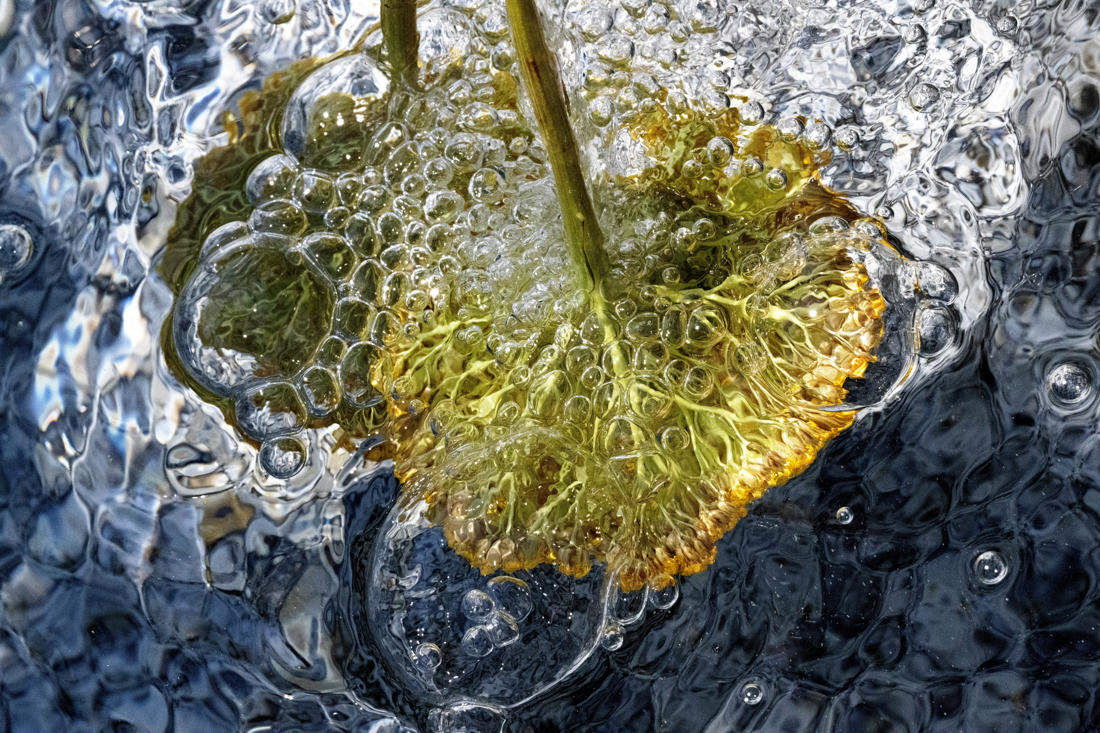 Water Natures Crans, Positano