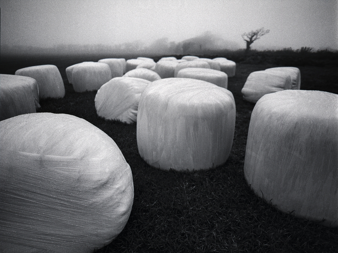 Hay stacks in the fog