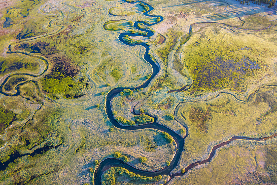 Sparks Marsh