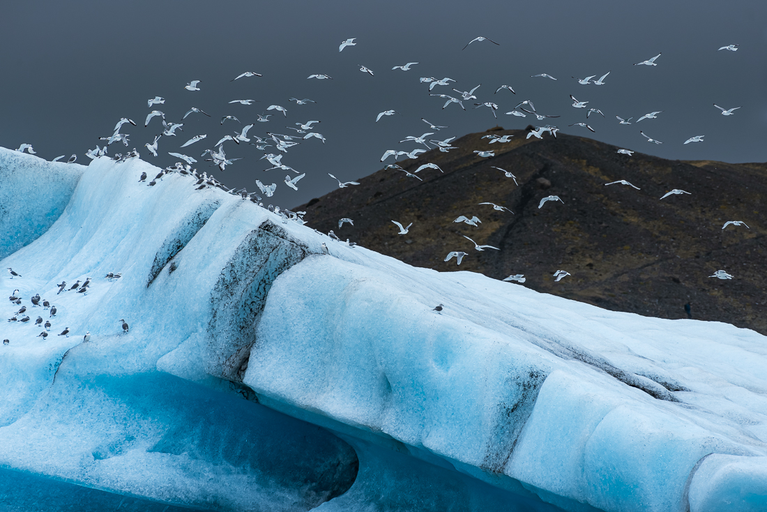 Frozen Flight