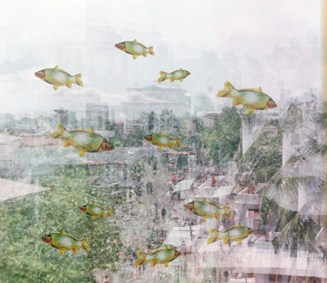 Fishes moving in the urban scapes