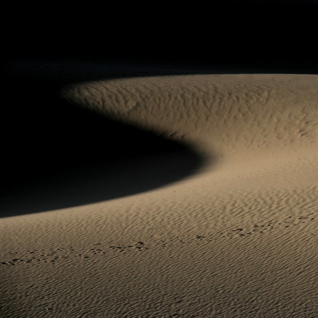Desert Light and Shadow