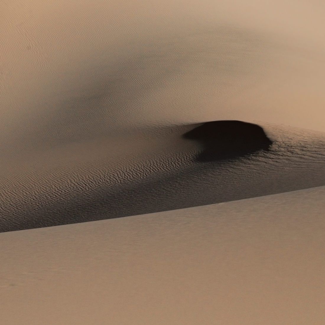 Desert Light and Shadow