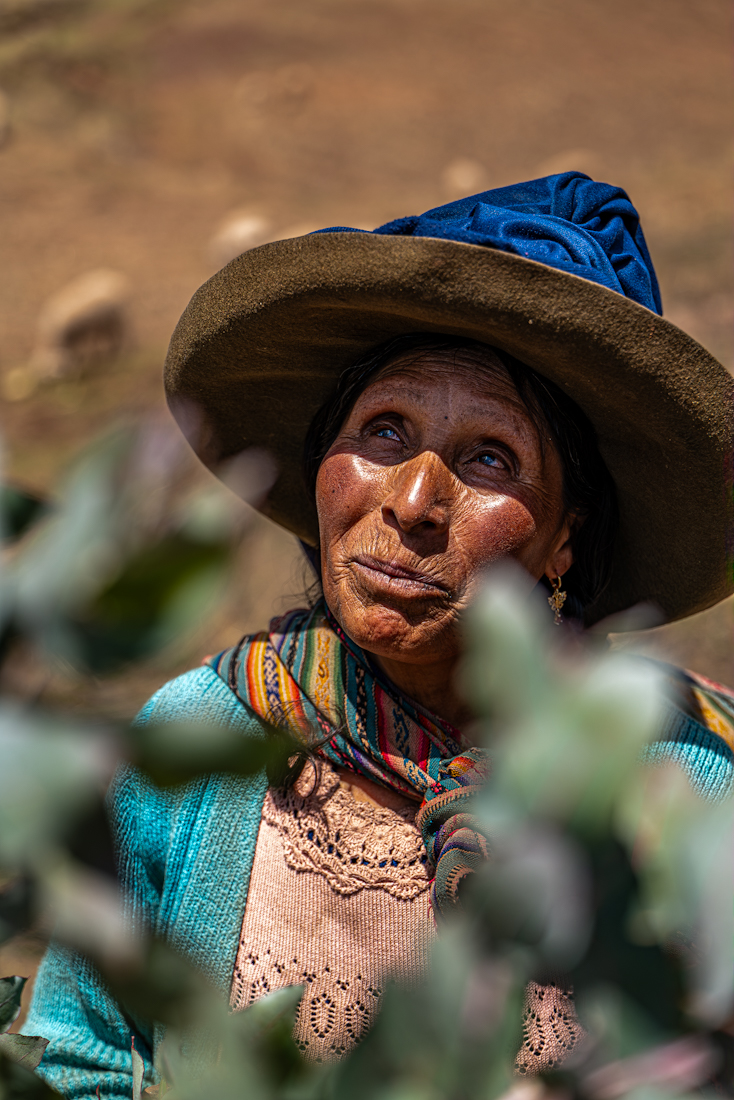 Serenade from the Andes