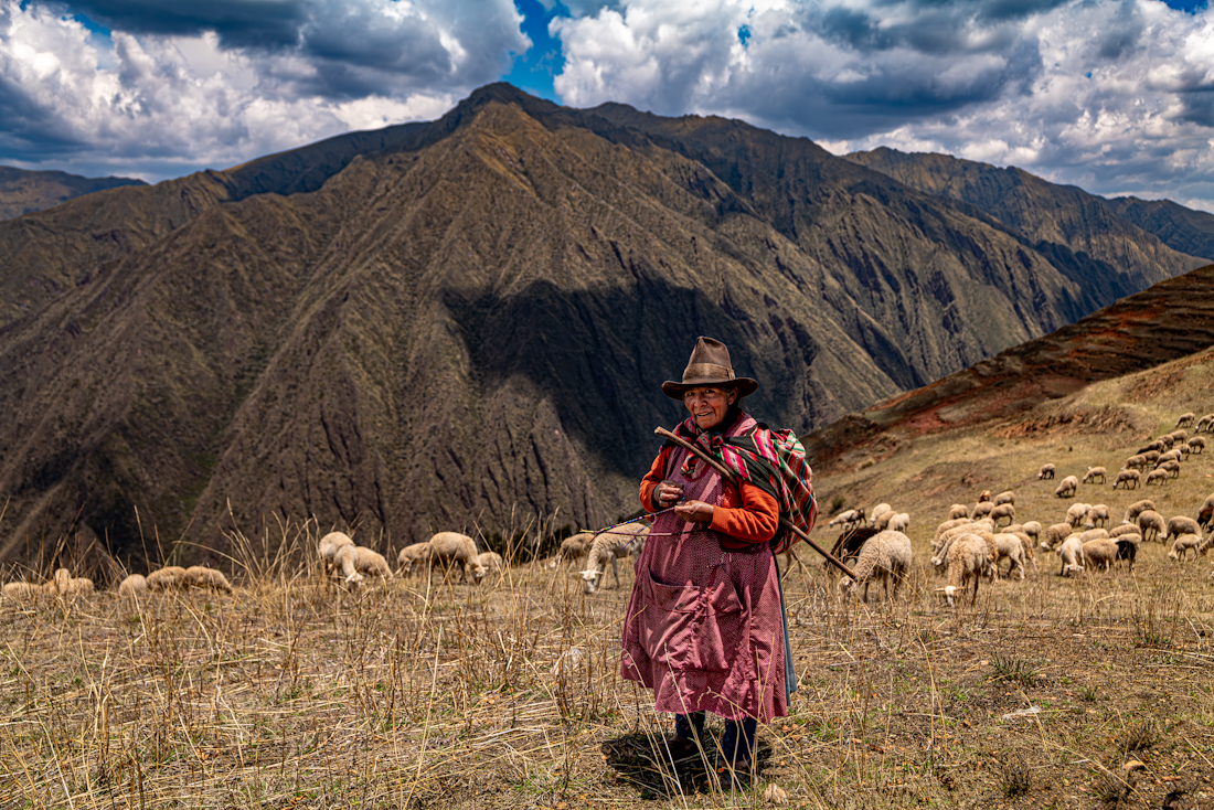 Serenade from the Andes