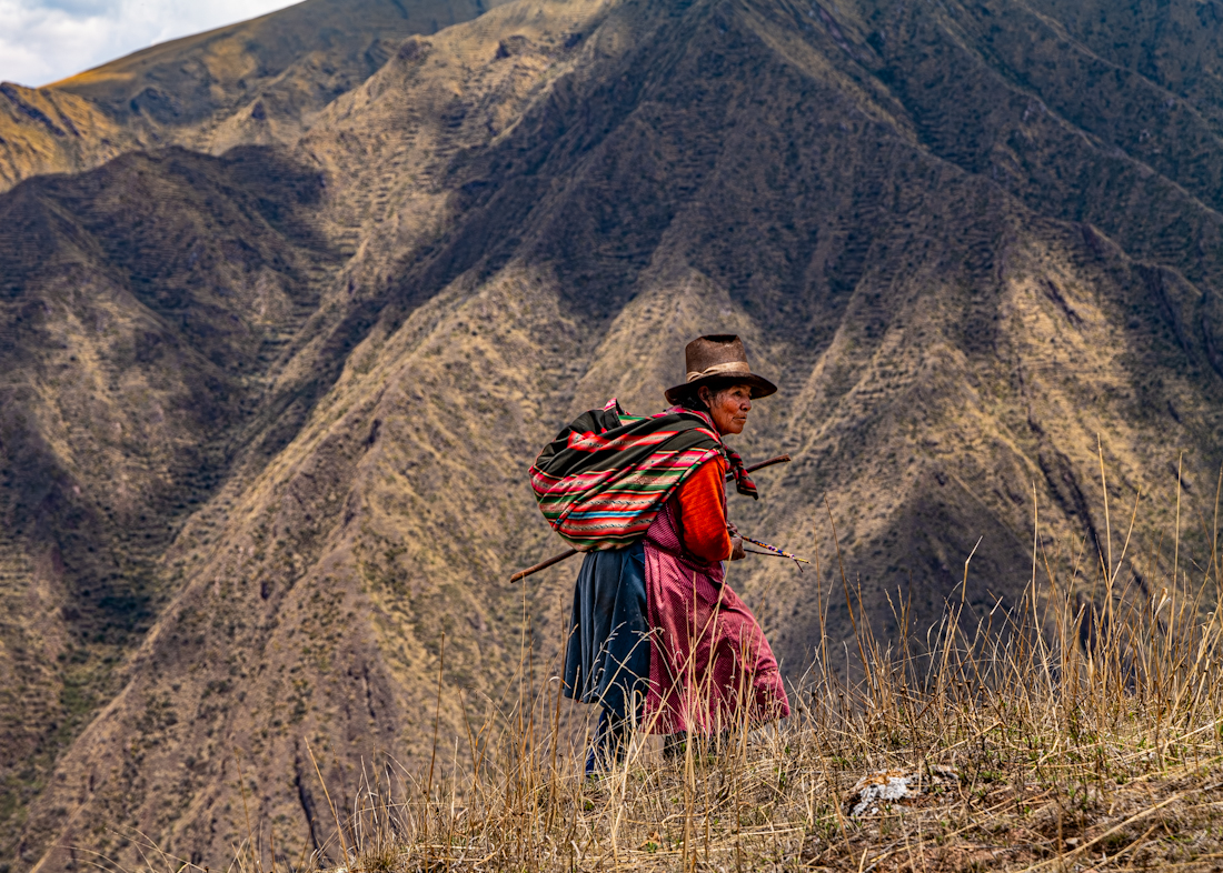 Serenade from the Andes