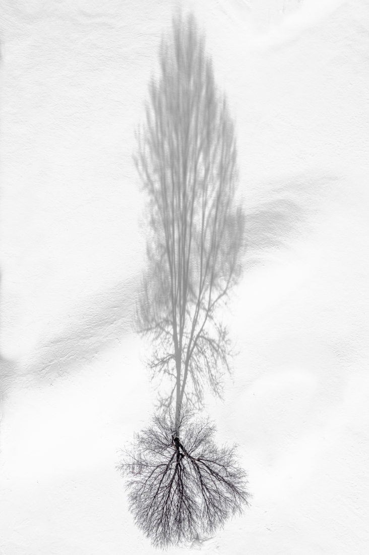 Shadow on the snow
