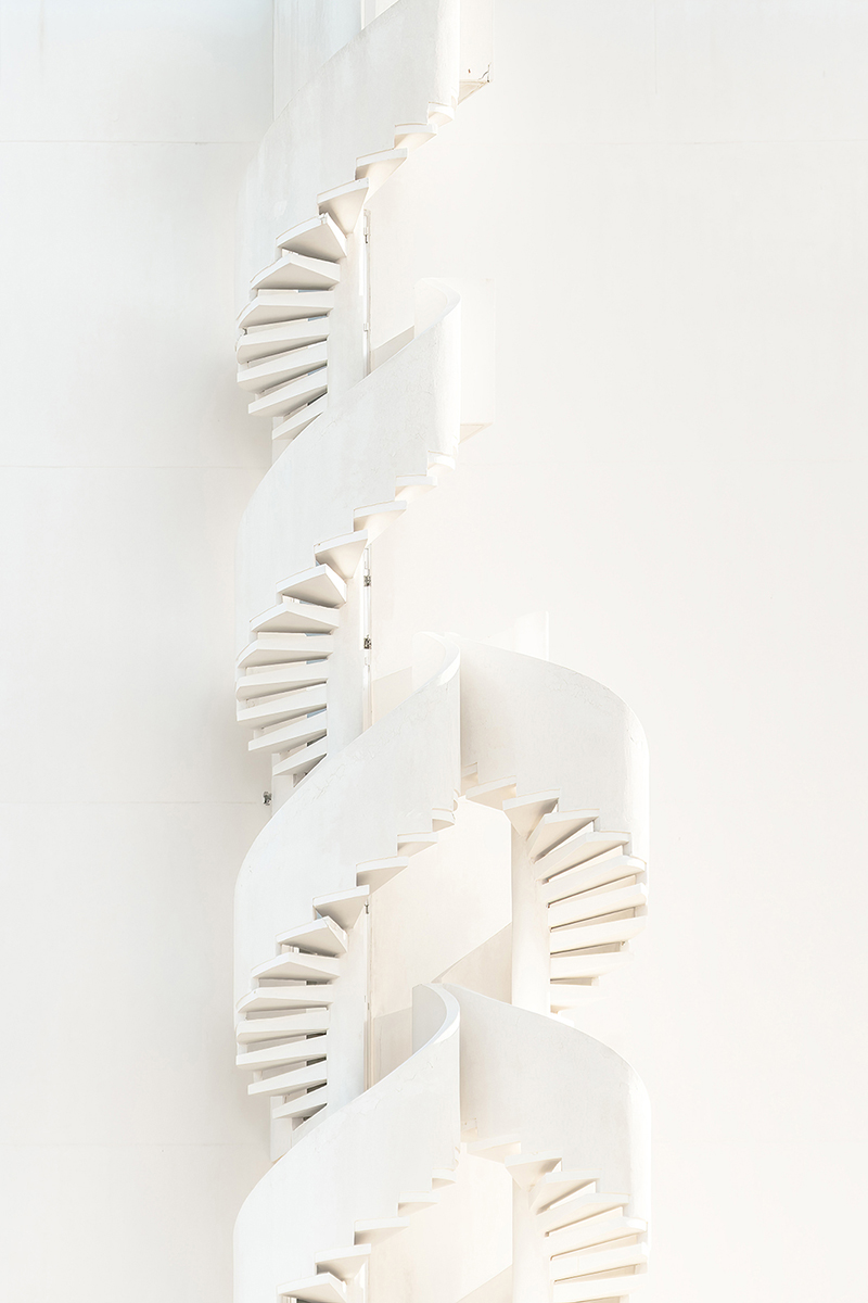 Spine