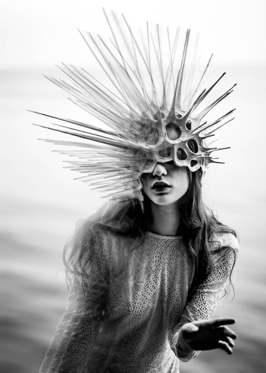 Radiolaria 