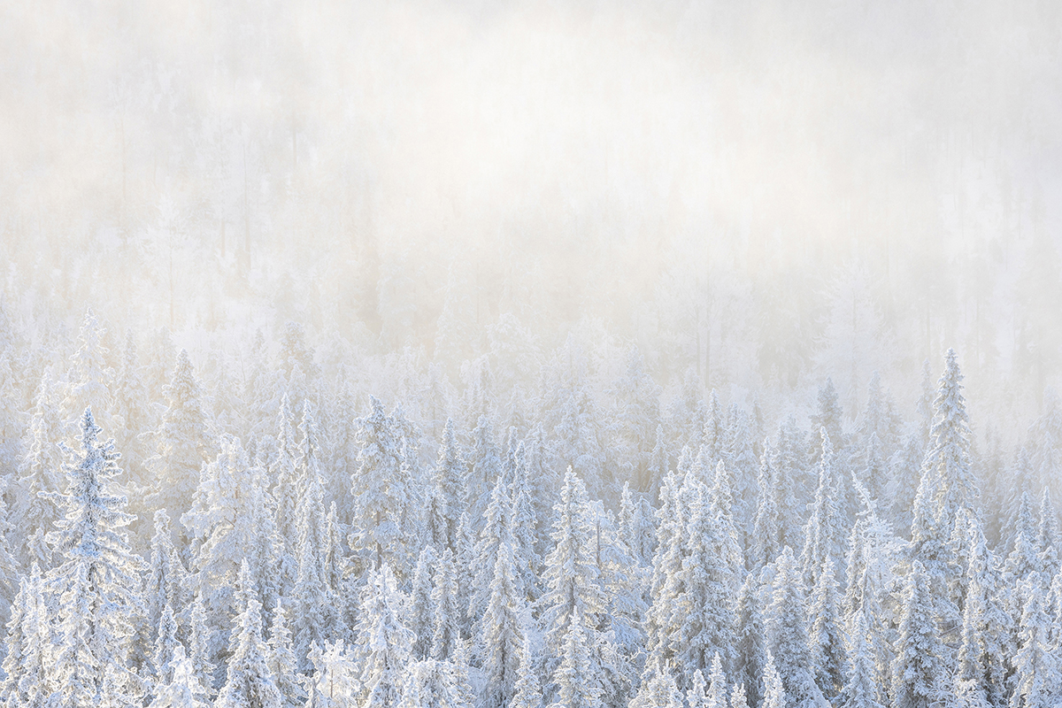 Sápmi - Living Landscapes